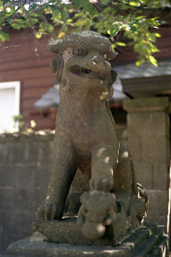 2009_09_15_五所神社参道にて 1_Leica IIIa_Summicron 5cm f2_FUJI COLOR 100.jpg