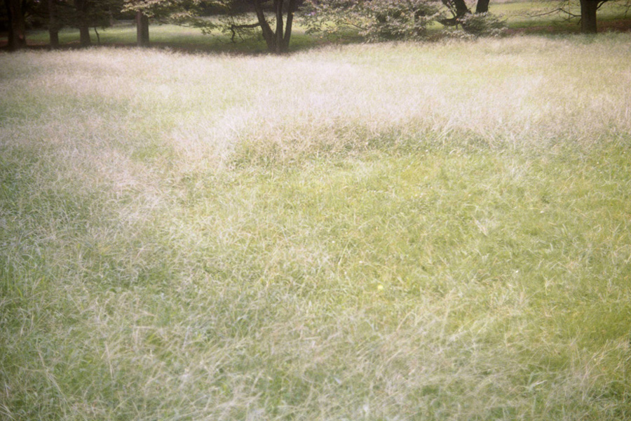 2009_09_23_砧公園にて_Leica IIIa_Summar 5cm f2 (Nickel)_DNP CENTURIA 100.jpg